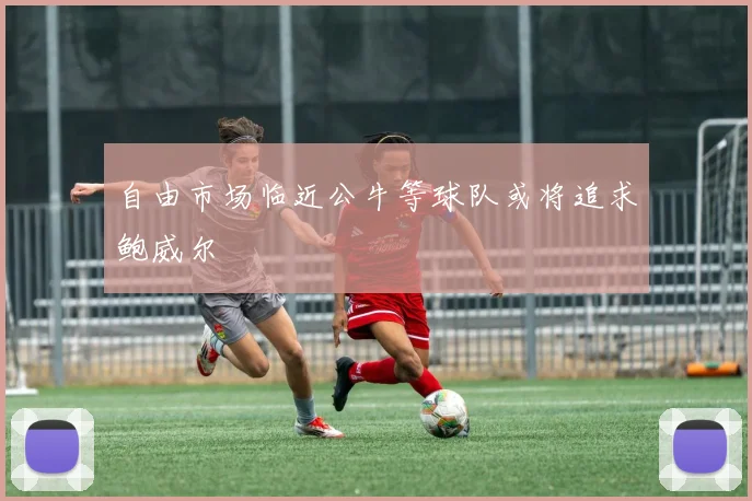 自由市场临近公牛等球队或将追求鲍威尔