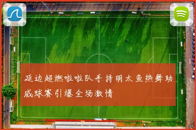 延边超燃啦啦队手持明太鱼热舞助威球赛引爆全场激情